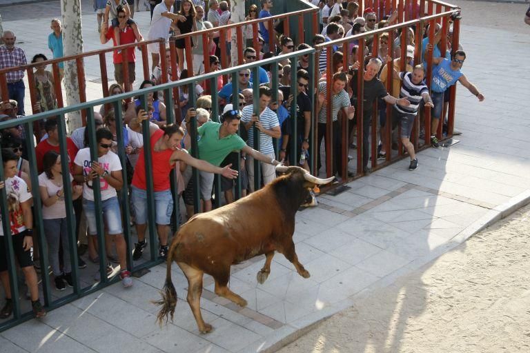 Encierro urbano en Fuentesaúco.