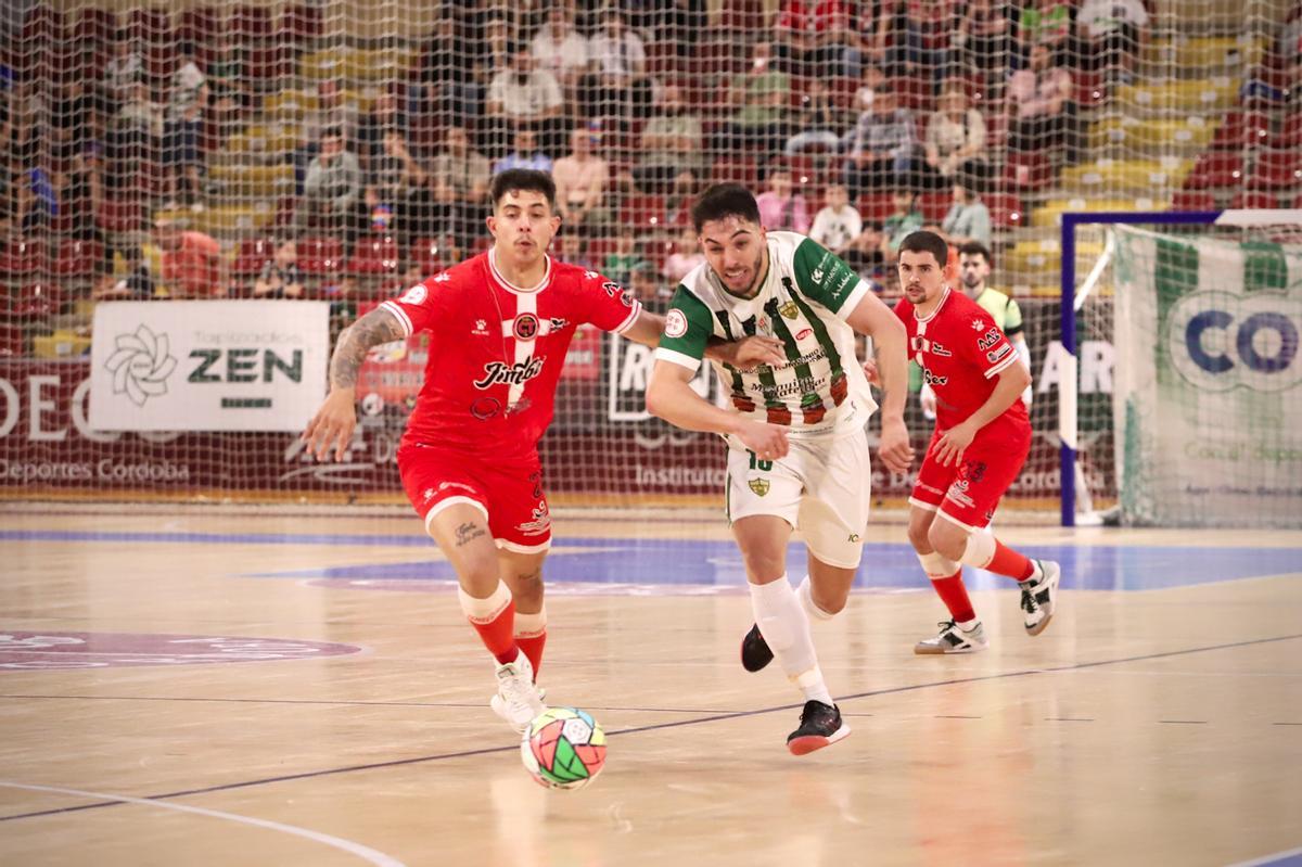Córdoba Futsal-Jimbee Cartagena: el partido de Vista Alegre en imágenes Córdoba Futsal-Jimbee Cartagena: el partido de Vista Alegre en imágenes