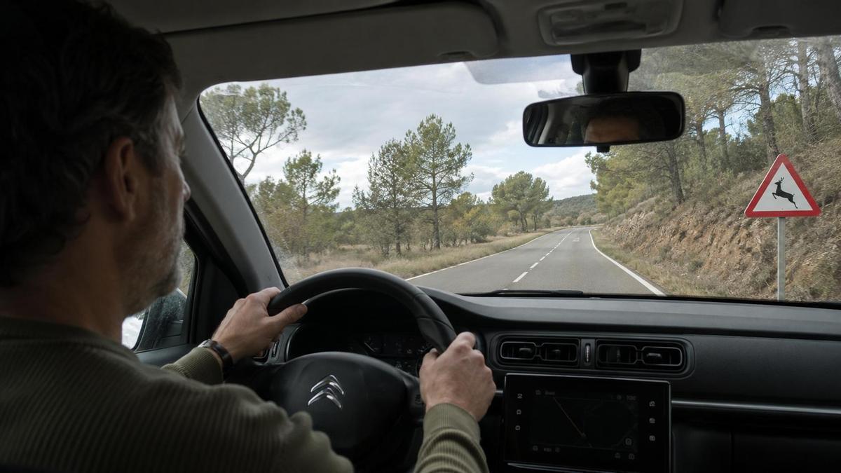Un conductor se encuentra con una señal de precaución por la posible presencia de animales en la calzada.