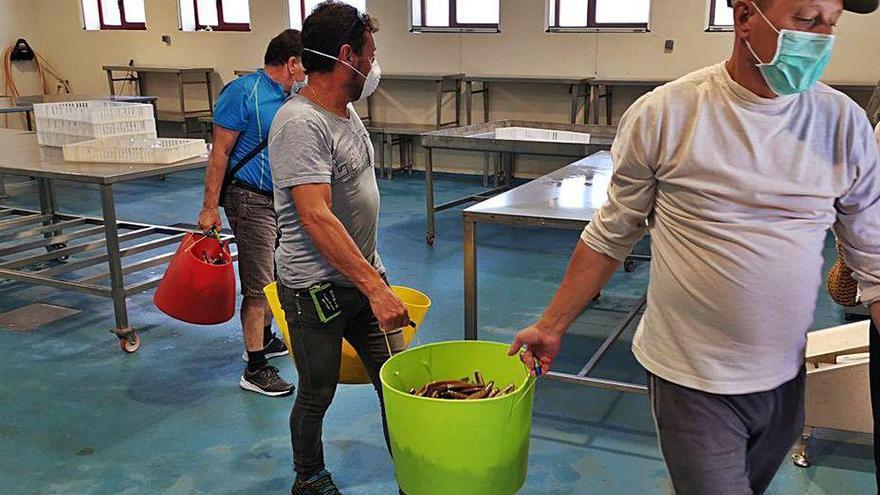 Dos navalleiros con cestos de navajas en la lonja.