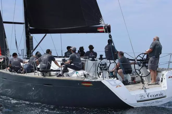 Unas orcas atacan un velero arousano durante la Copa del Rey