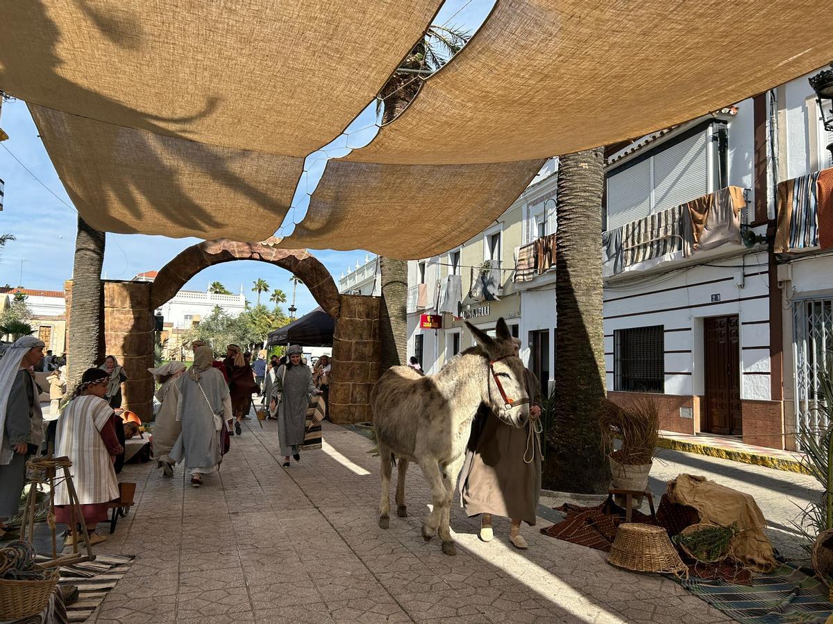Galría | Oliva la Frontera (Badajoz) retrocede 2.000 años para celebrar su Pasión Viviente, declarada de Interés Turístico Nacional