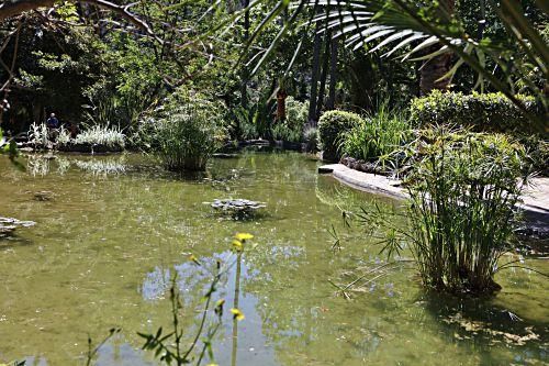 Die Kunsthistorikerin Júlia Ramon erklärt auf einem Rundgang durch die Jardins d’Alfàbia, aus welcher Zeit die Allee, die Wasserspiele und die Bäume stammen