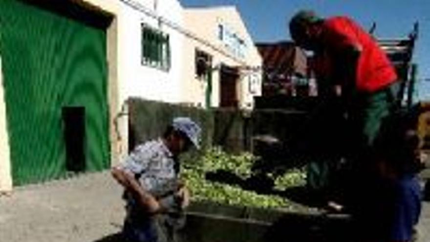 La Junta plantea una reconversión quesacaría del campo a 40.000 trabajadores