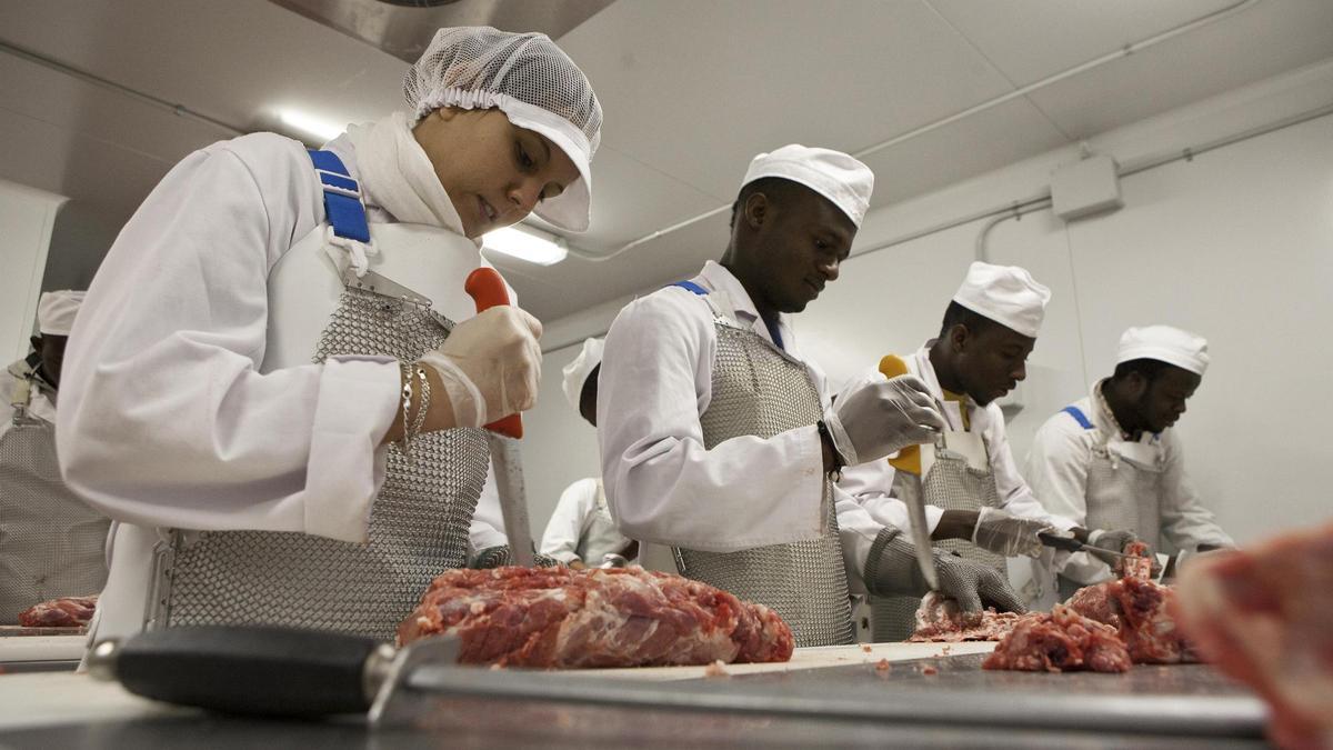 Orta ve yüksek dereceli MEÖ mezunlarının sayısı tarihin en yüksek seviyesine ulaştı