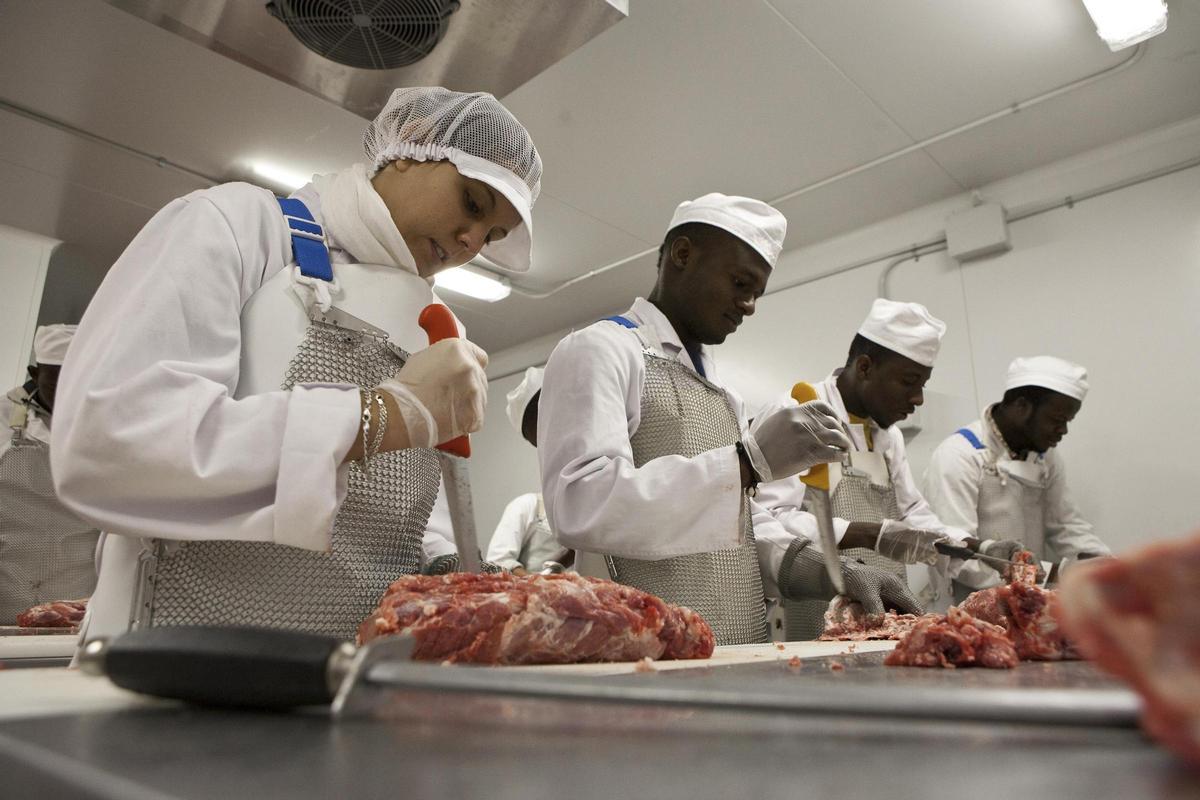 Растёт интерес к профессиональному образованию в Испании