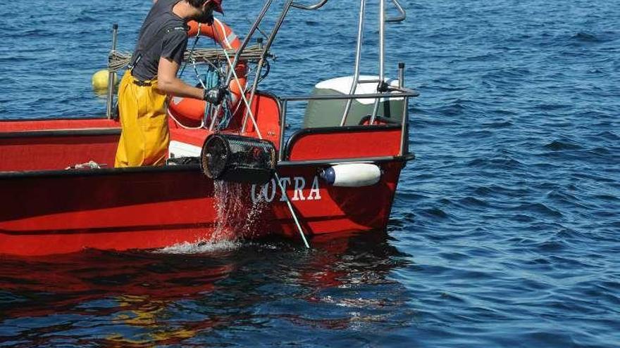 La pesca de nécora en la ría de Arousa. // Iñaki Abella