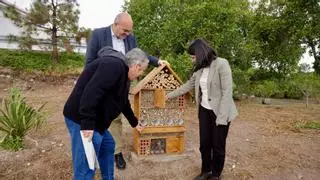 Hoya Andrea estrena un nuevo espacio natural dentro del Corredor Verde con 'hoteles para insectos' y casas para pájaros