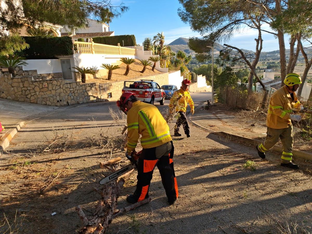Bomberos, voluntarios de Protección Civil y de bomberos voluntarios de Balcón al Mar se emplearon a fondo para retirar los árboles desplomados sobre viales