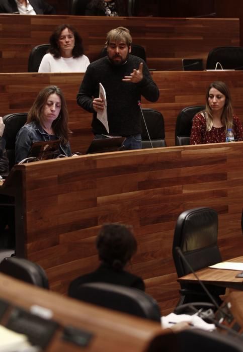 Pleno en la Junta General del Principado de Asturias