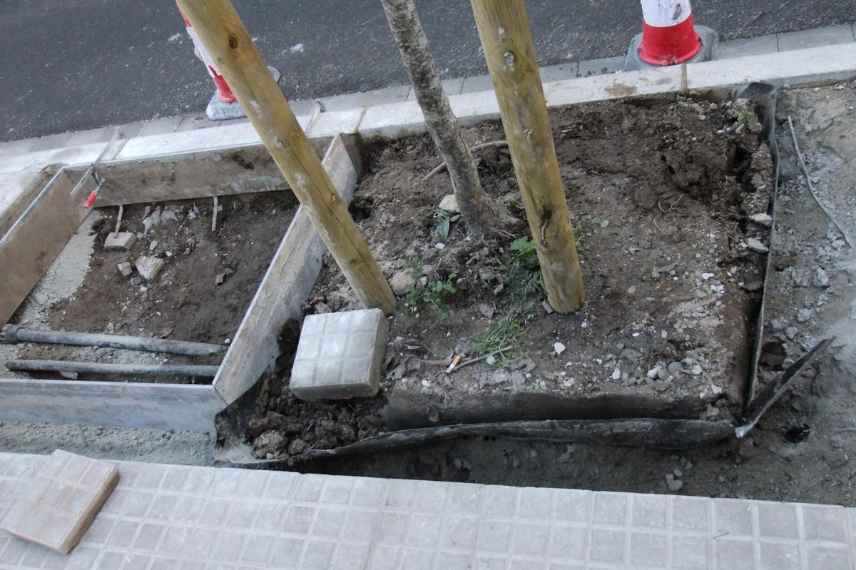 Un escocell mogut a l'Estació d'Autobusos