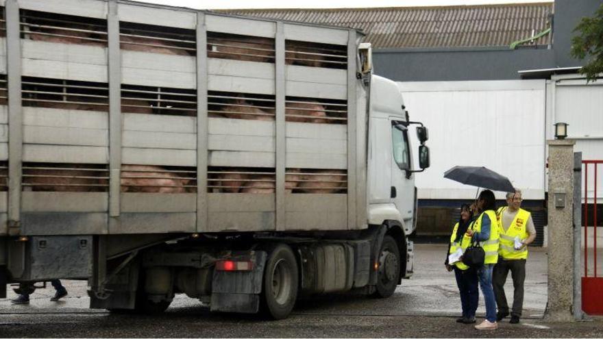 El Grupo Jorge deberá pagar 6 millones de euros por emplear falsos autónomos