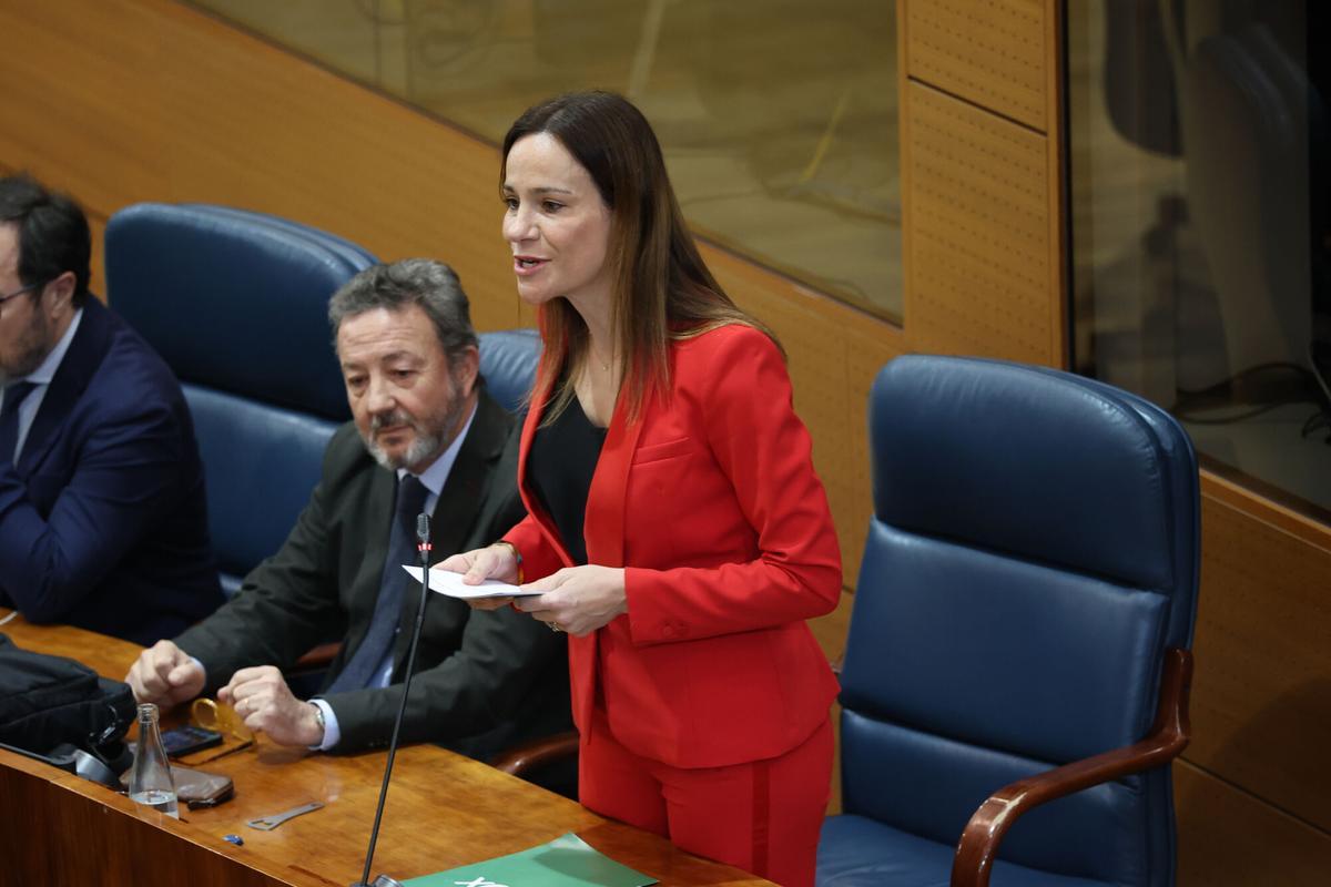 La portavoz de Vox en la Asamblea de Madrid, Isabel Pérez Moñino.