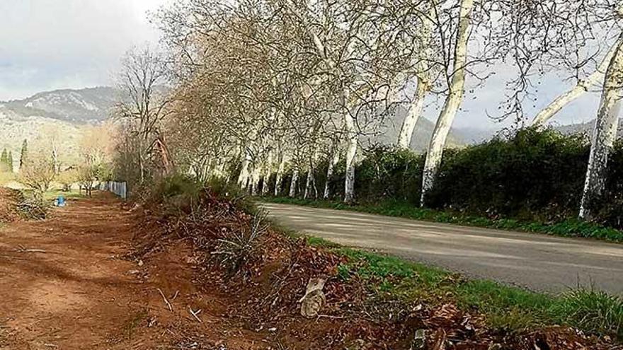 Prensa Graveda 20T - El Sendero de la María