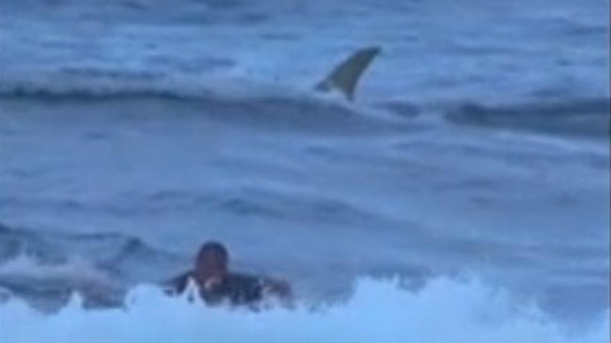 Un surfista se topa con un tiburón en aguas de Puerto Rico