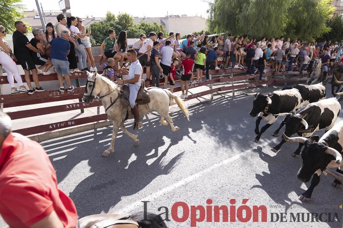 Primer encierro de las Fiestas de Moratalla