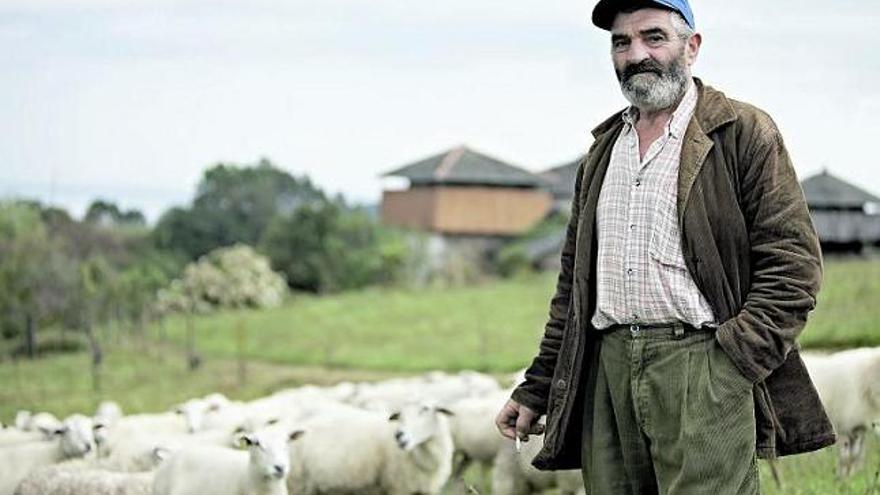 Fil Rodríguez, en Caroyas, con algunas de sus ovejas.