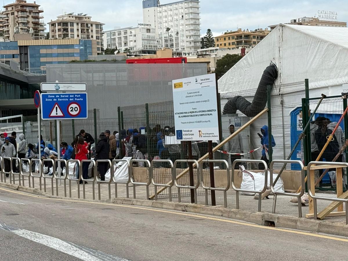 Se estrena el módulo de acogida en el puerto de Palma con la llegada masiva de migrantes