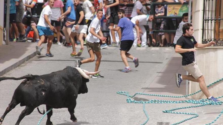 El toro de cuerda de La Aurora sirve de preámbulo al congreso nacional