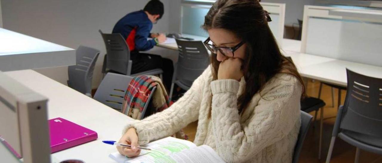 Irene Sanmartino, estudiando un examen de Tributación Comercial, ayer, en la sala de estudio.