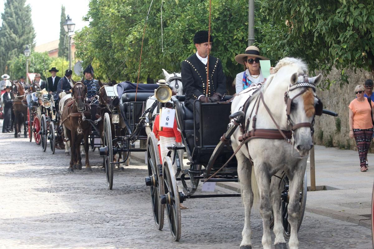 4º Concurso Internacional de Atalaje de Tradición en Cabalcor 2018