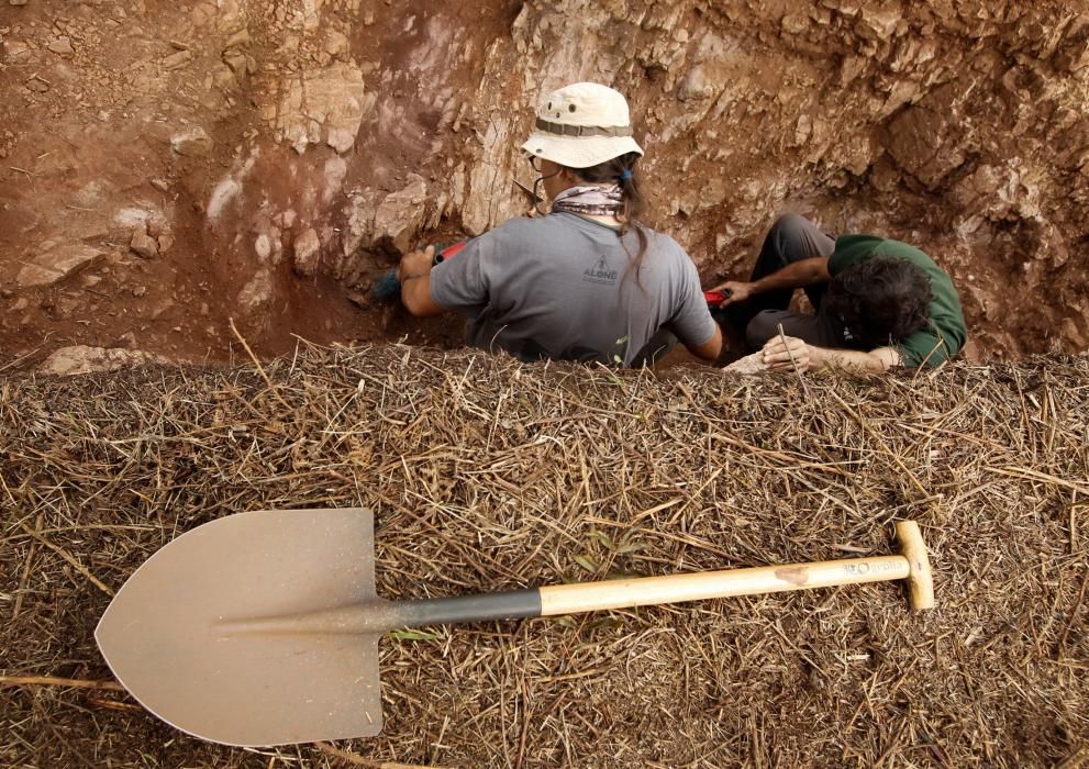 Excavación en el castro de Boinas