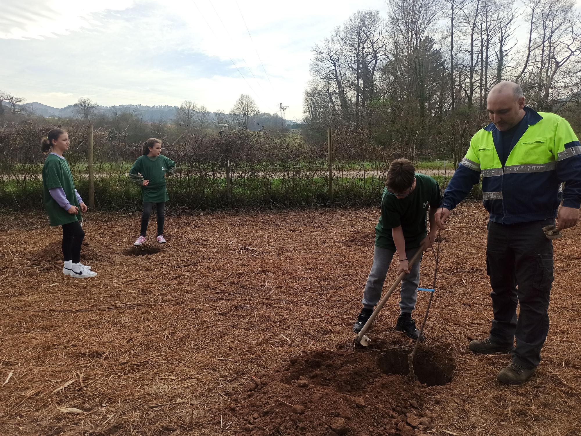 Los escolares de San Cucao ponen freno a la huella de carbono con la plantación de árboles frutales, así fue la jornada ambiental