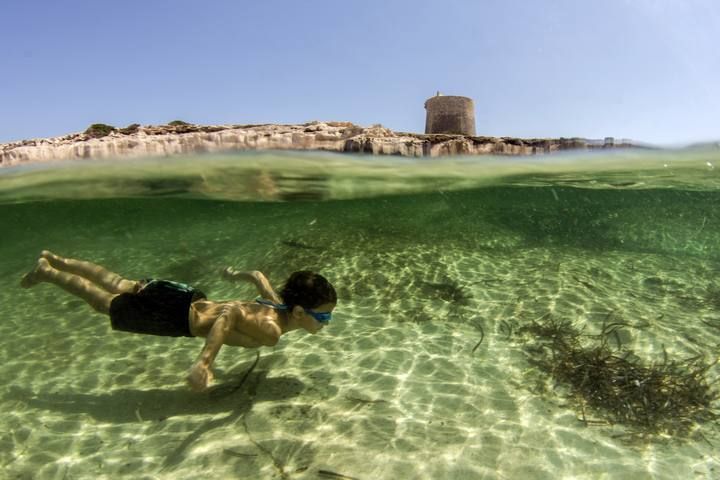 Xavier Mas Mar, tierra y cielo buceando bajo una torre. Torre de ses Portes, en julio. El hijo del fotógrafo bucea junto a la costa. «Tuve que repetir la foto bastantes veces hasta lograr que las olas nos dejasen ver también la parte superior», relat