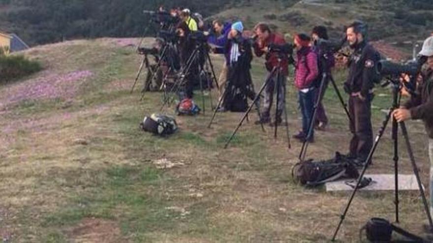 Los avistamientos de osos lanzan el turismo en el Suroccidente