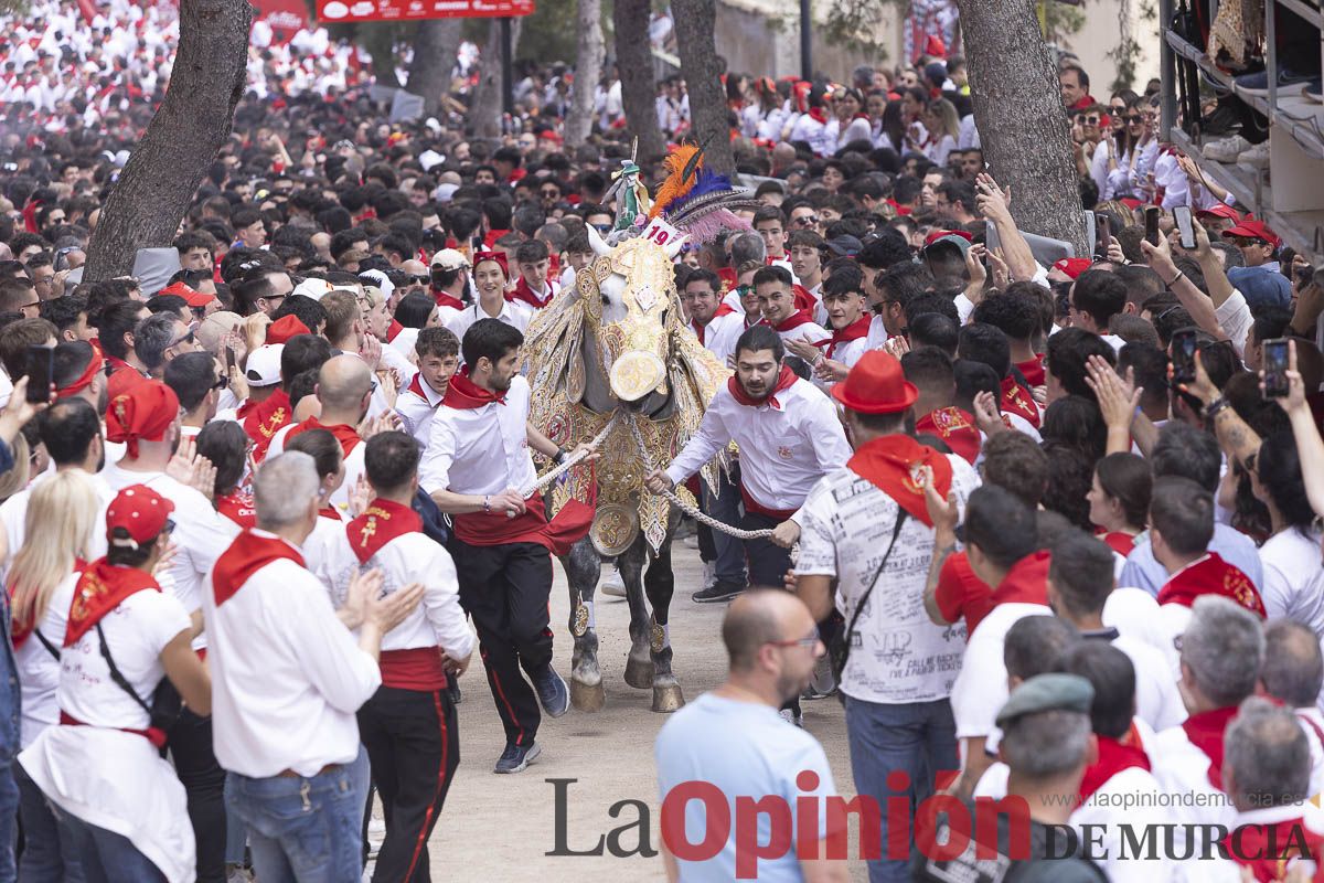 Así se ha vivido la carrera de Los Caballos del Vino en Caravaca