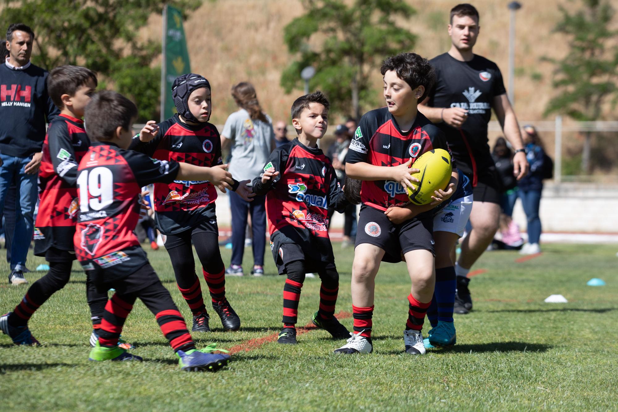 GALERÍA | El rugby más puro brilla con la "II Jornada de canteras Ciudad de Zamora"