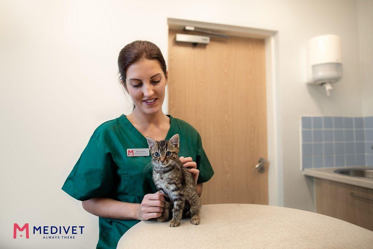 Una veterinaria con una mascota.
