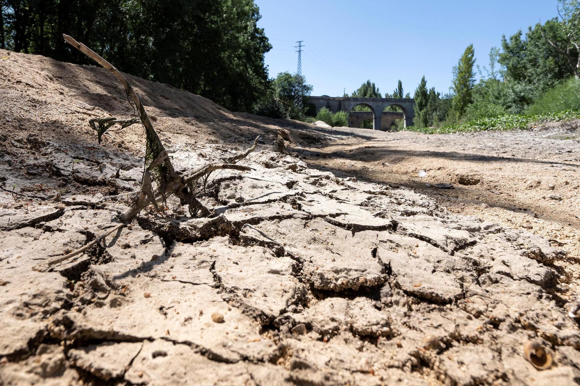 Sin perspectivas de lluvia, la sequía se agudiza en más de media España