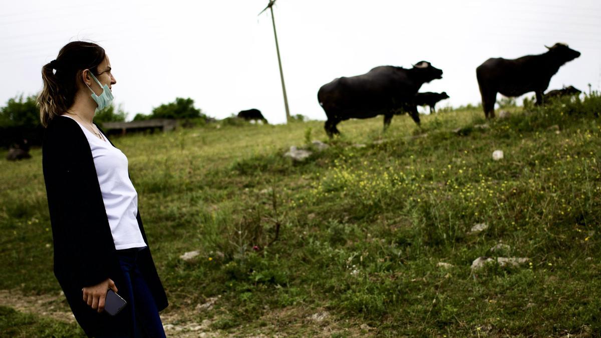 Miray observa a los animales de su granja, situada en unos terrenos susceptibles de formar parte del 'Kanal Istanbul'.