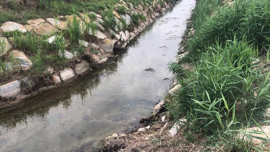 Los niveles del herbicida glifosato en el Mar Menor &quot;superan con creces&quot; lo permitido