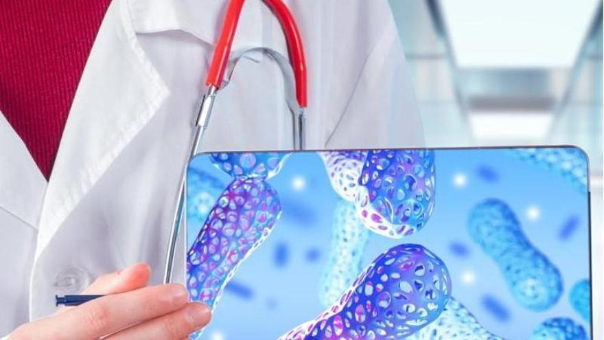 Fundación Ibercaja - Microbiota intestinal y corazón: el papel clave del hígado en tu salud