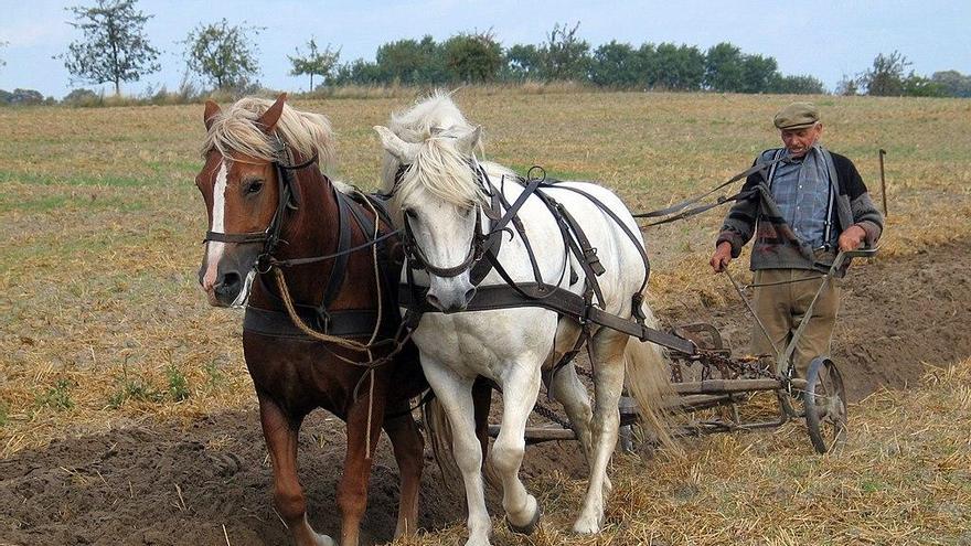 Arado tirado por caballos en Centroeuropa.