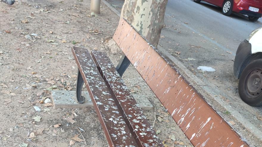 Petards en una plaça de Girona per fer fora els estornells