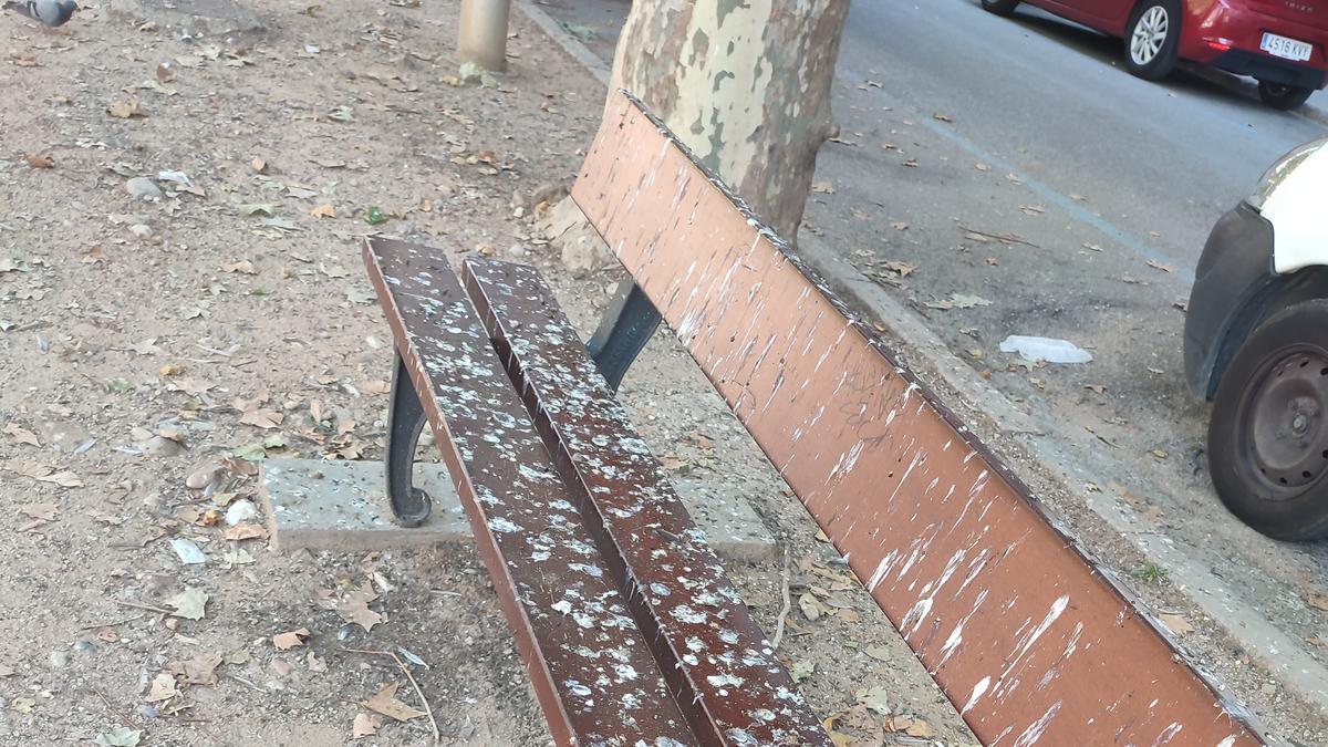 Un banc de la plaça.