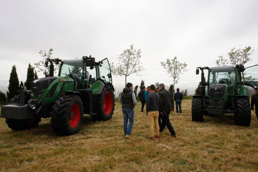 Semana Agroambiental del Alfonso IX