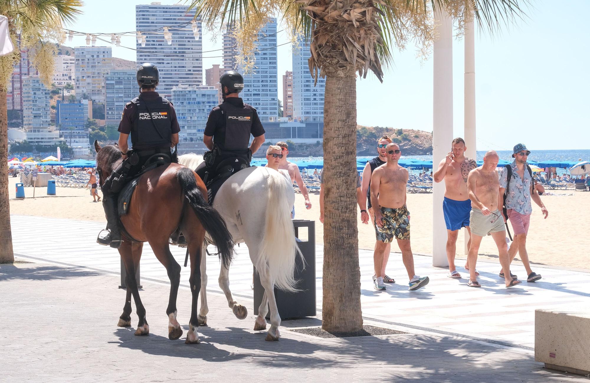 Así ha sido la exposición de medios de la Policía Nacional en Benidorm