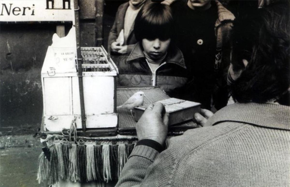 Pajarito de la suerte en el Barri Gòtic en 1961.