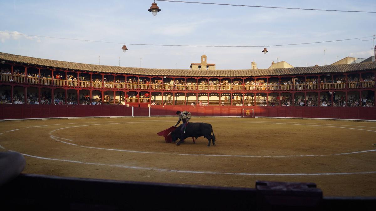 Ismael Martín abrió la triple puerta grande de la plaza de toros de Toro junto a sus compañeros de terna, Alejandro Talavante y Tomás Rufo, en un encierro de presencia y juego desigual de El Vellosino