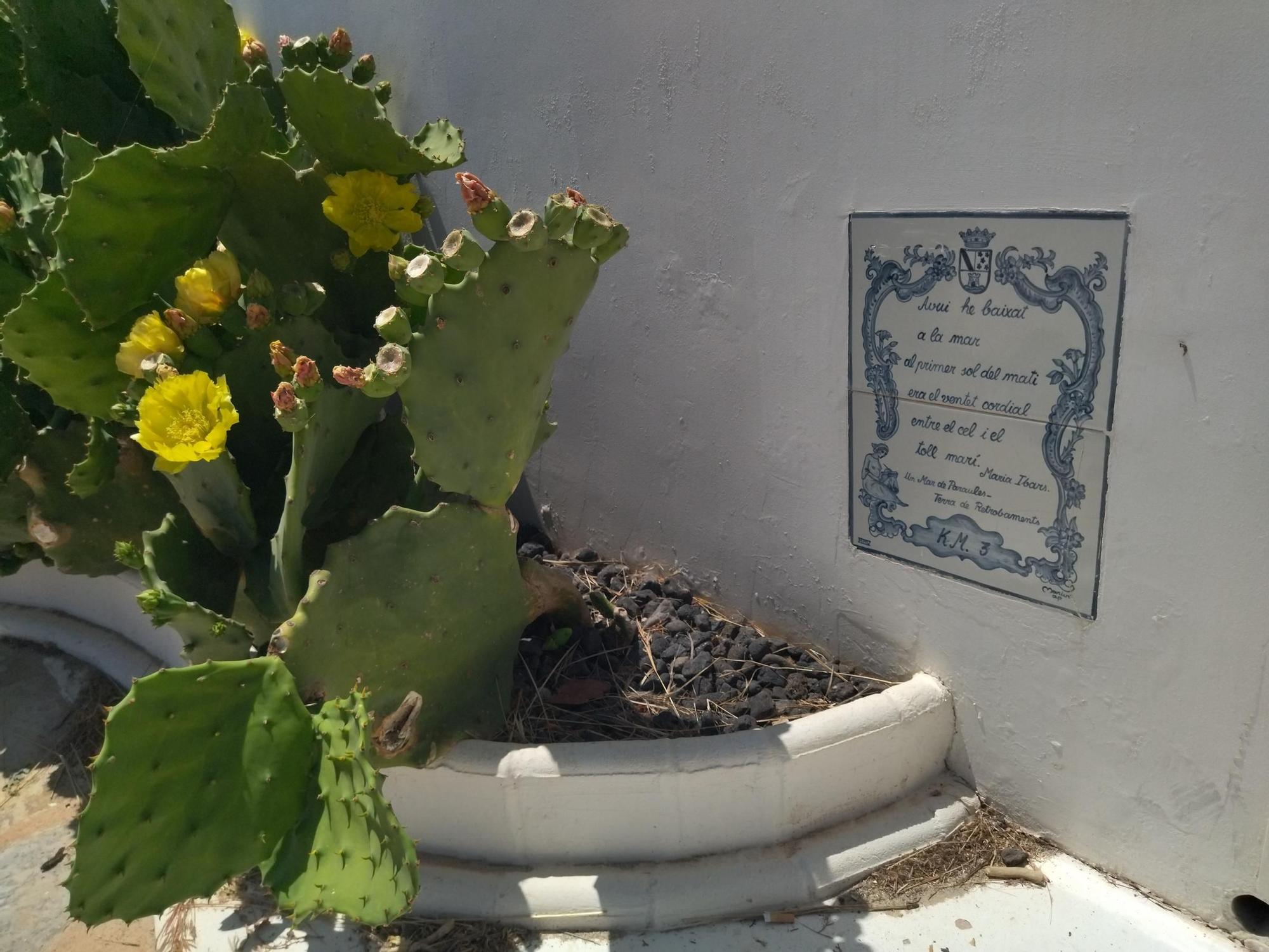 En busca de la esencia de les Rotes: un paseo por el litoral de roca de Dénia (imágenes)
