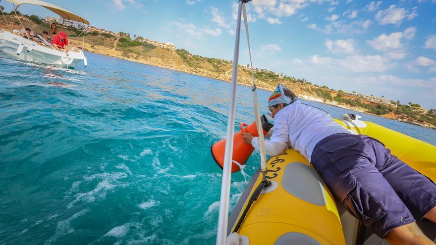 Técnicos de la Generalitat informan a más de 60 embarcaciones al día este verano en el litoral de la Vega Baja sobre la protección de la posidonia