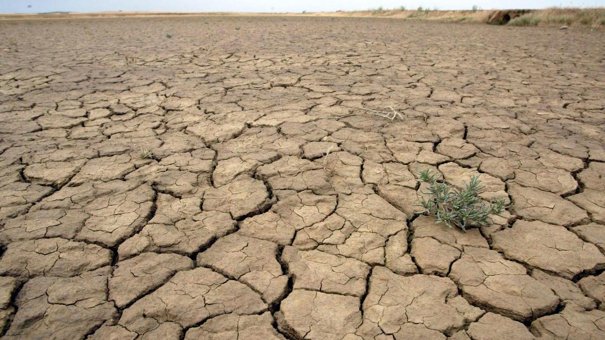 Terreno afectado por la sequía