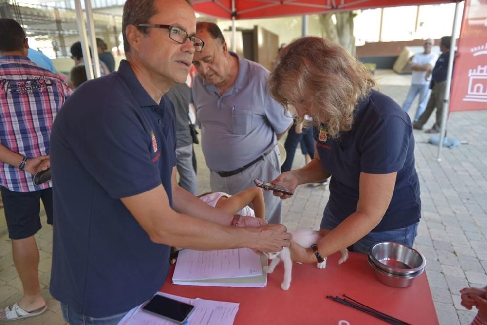 La perrera de Murcia saca sus animales a la calle