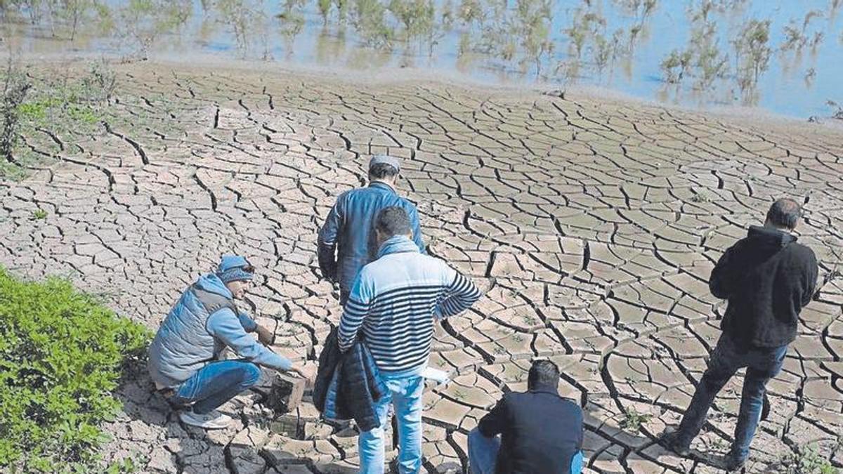 Arriba, Pedro Rosa Mena (a la izquierda, agachado), fundador de Todobarro, junto a varios miembros de su equipo en una visita al estuario del Guadalquivir. En el centro, en la sede de la empresa, ubicada en Vélez-Málaga