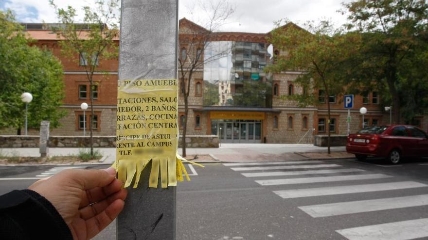 Carteles anunciadores de pisos en alquiler en Zamora.