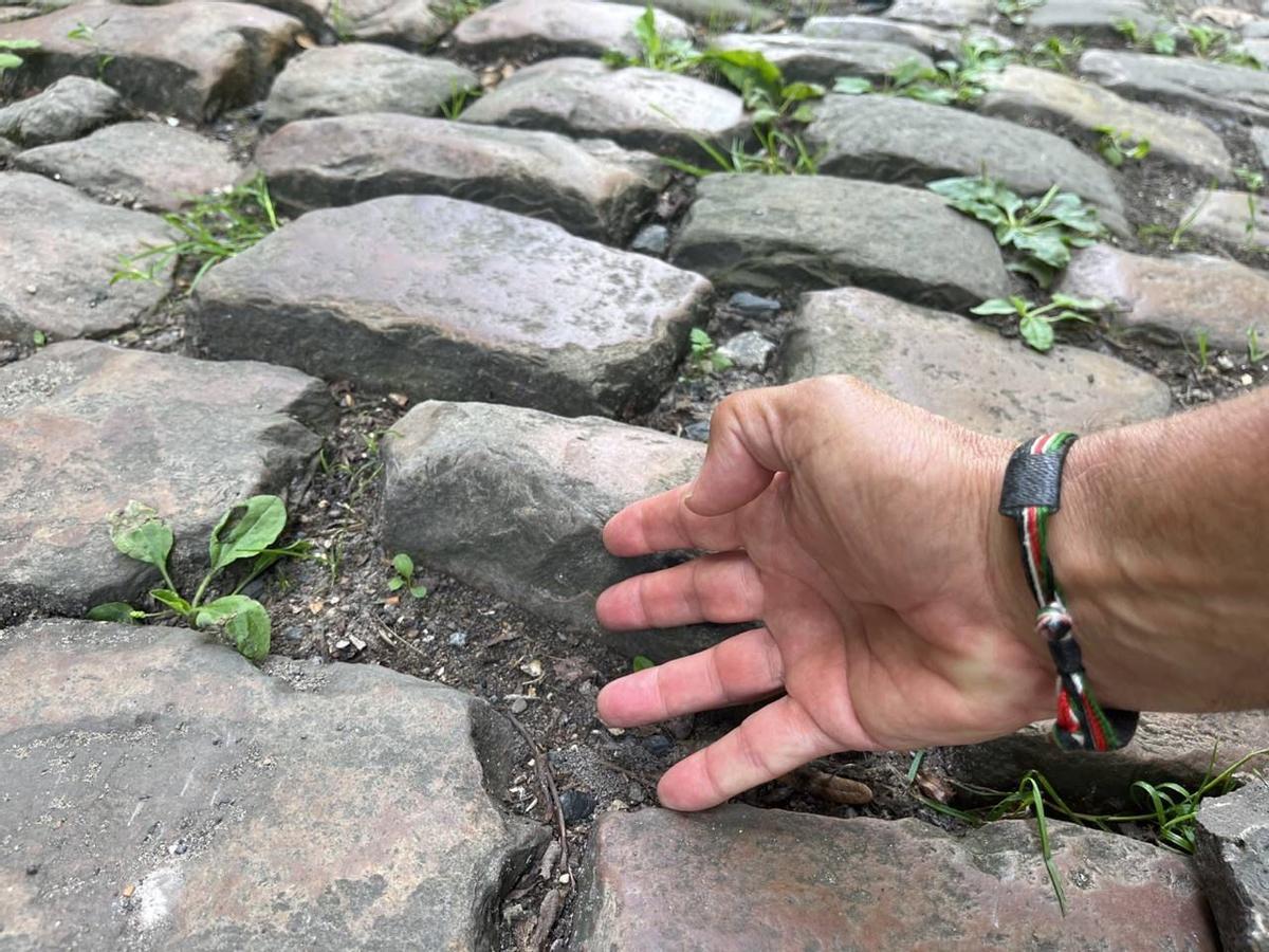 Así son los adoquines del bosque de Arenberg.
